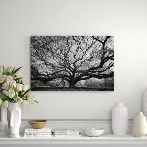 'Tree of Wisdom' - Unframed Photograph Print on Paper