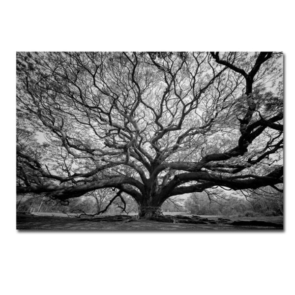 'Tree of Wisdom' - Unframed Photograph Print on Paper - Image 4