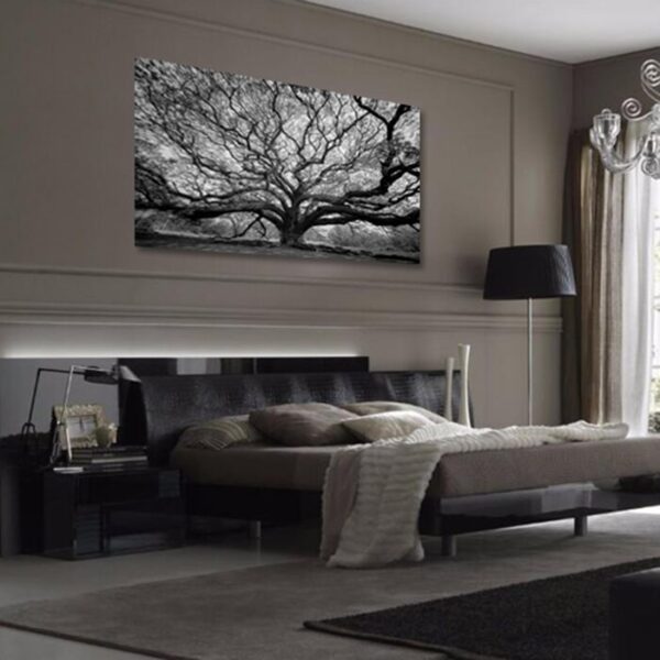 'Tree of Wisdom' - Unframed Photograph Print on Paper - Image 2