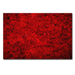 'Bed of Roses' - Unframed Photograph Print on Paper